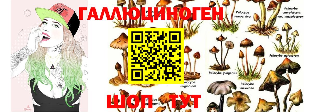 Галлюциногенные грибы GOLDEN TEACHER Родники