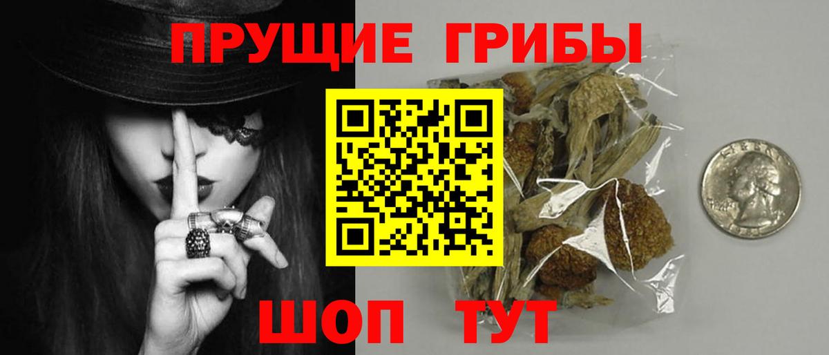 Псилоцибиновые грибы Psilocybine cubensis  Вход с VPN  Родники  Псилоцибиновые грибы прущие грибы 